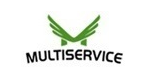 multiservice-log.png